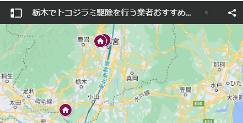 栃木でトコジラミ駆除を行う業者おすすめ一覧