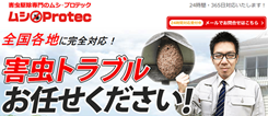 ムシプロテックのトコジラミ駆除の口コミ評判と料金